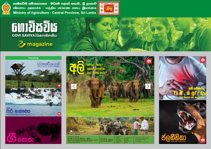 ගොවිසවිය සඟරාව Image