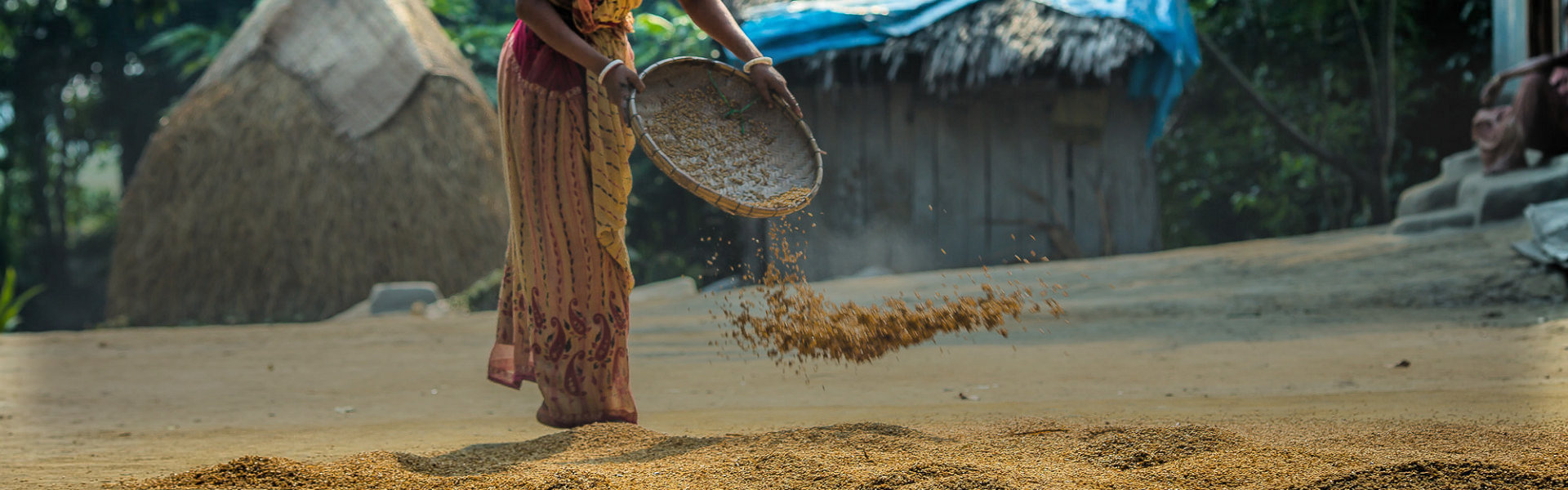 කෘෂිකර්ම, වාරිමාර්ග, සත්ව නිෂ්පාදන අමාත්යාංශය