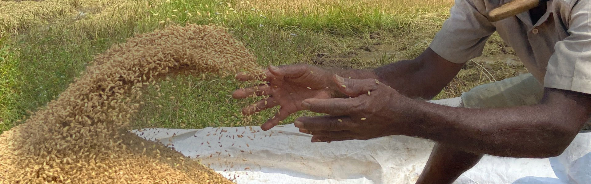 කෘෂිකර්ම, වාරිමාර්ග, සත්ව නිෂ්පාදන අමාත්යාංශය